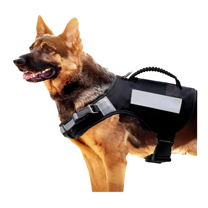 Dog1