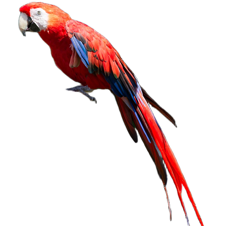 slider3